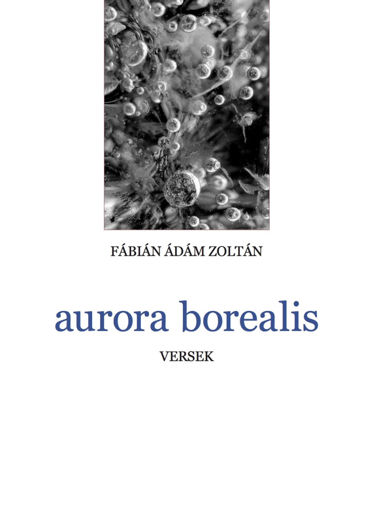 aurora borealis (ekönyv)