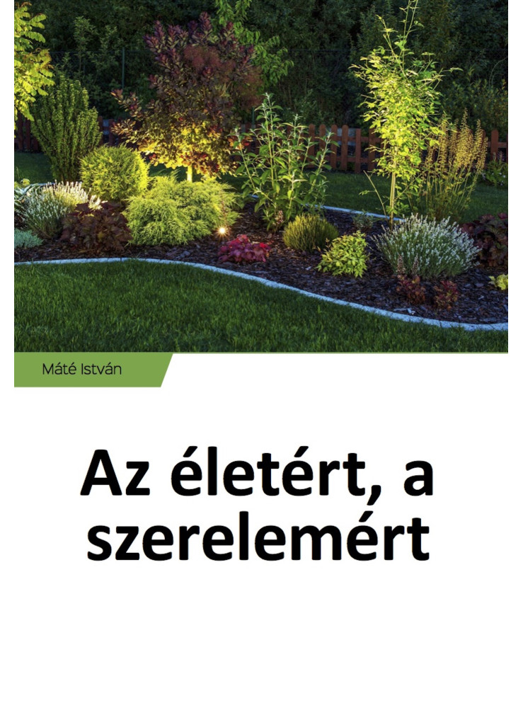 Az életért, a szerelemért (ekönyv)