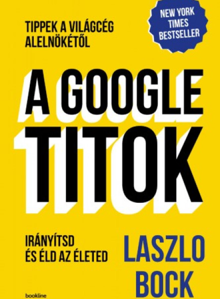 A Google-titok (ekönyv)