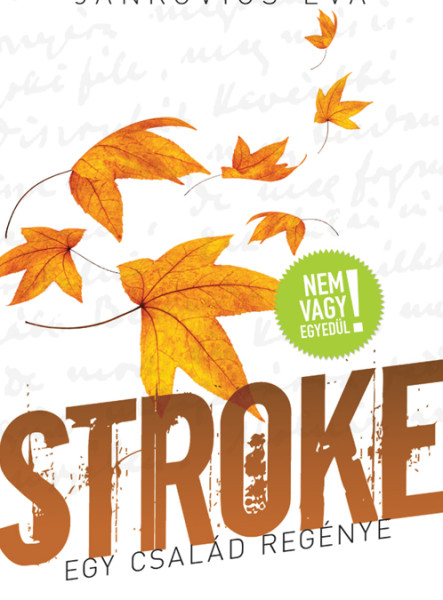 Stroke - Egy család regénye (ekönyv)