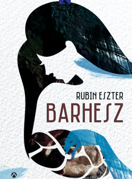 Barhesz (ekönyv)