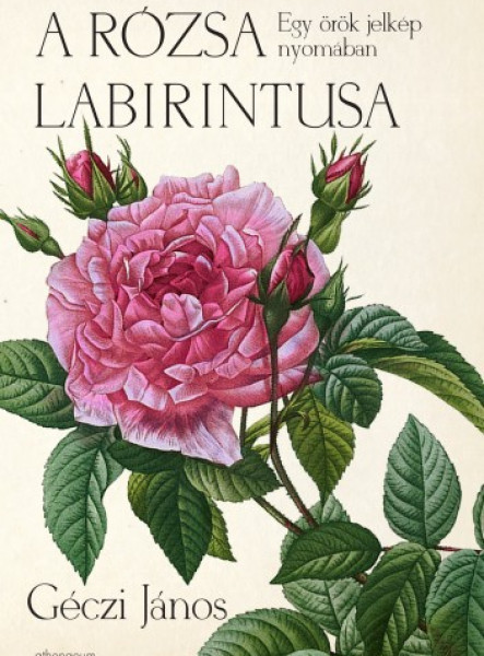 A rózsa labirintusa - Egy örök jelkép nyomában (ekönyv)