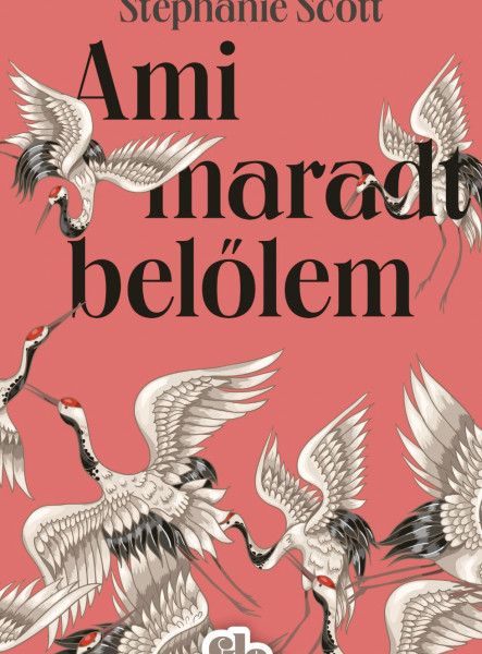 Ami maradt belőlem (ekönyv)