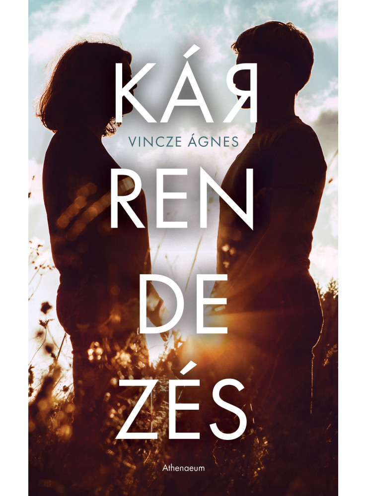 Kárrendezés (ekönyv) Kárrendezés (ekönyv)