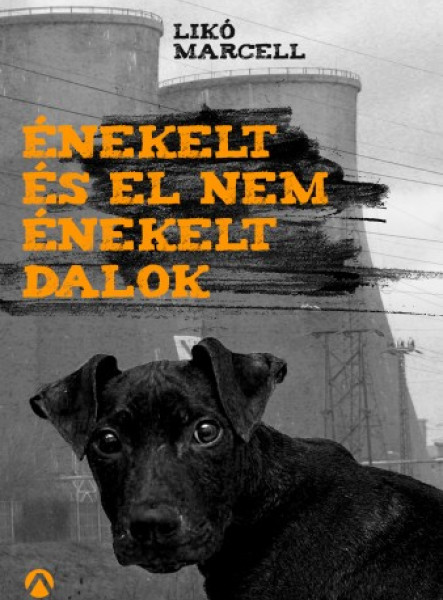 Énekelt és el nem énekelt dalok (ekönyv)