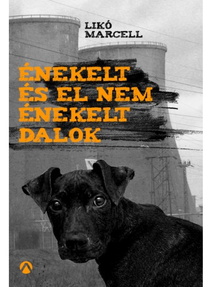 Énekelt és el nem énekelt dalok (ekönyv) Énekelt és el nem énekelt dalok (ekönyv)