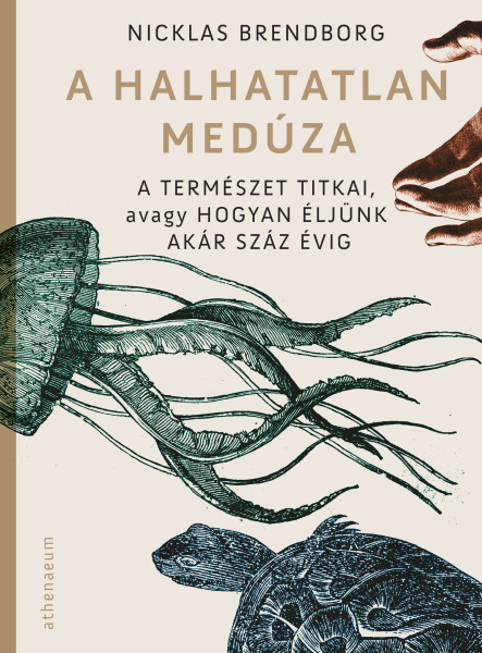 A halhatatlan medúza (ekönyv)