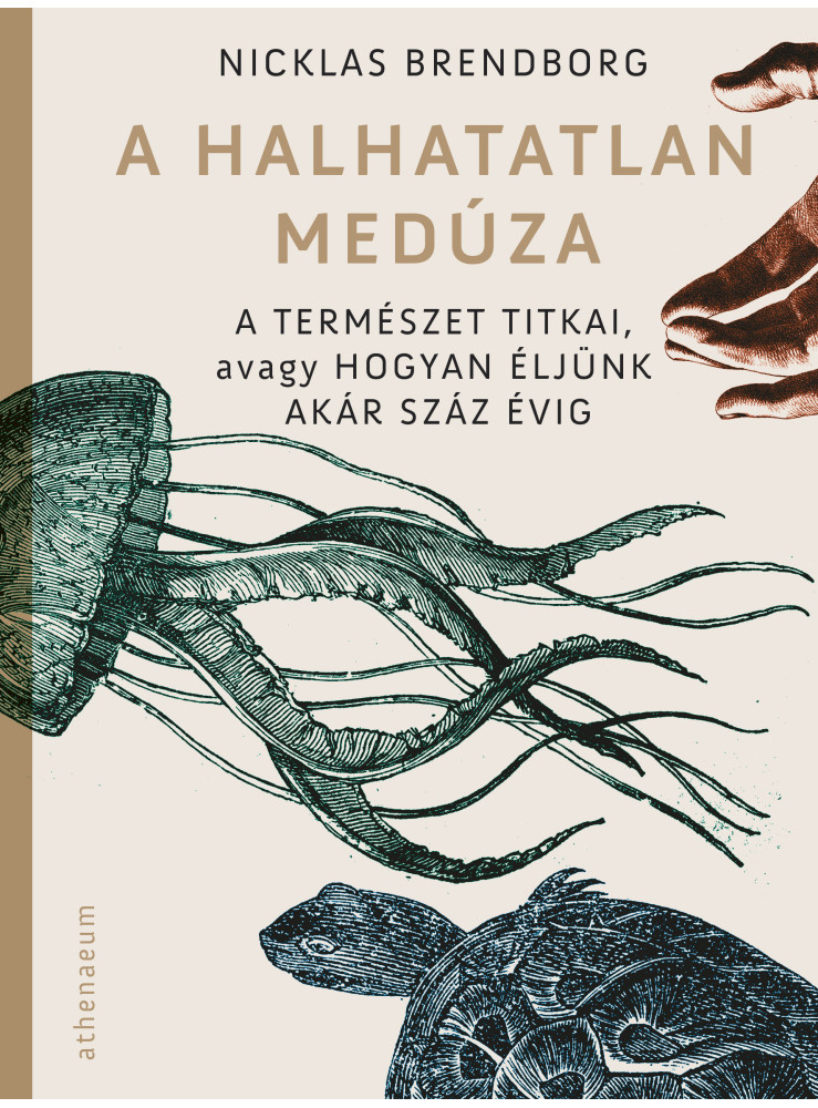 A halhatatlan medúza (ekönyv) A halhatatlan medúza (ekönyv)