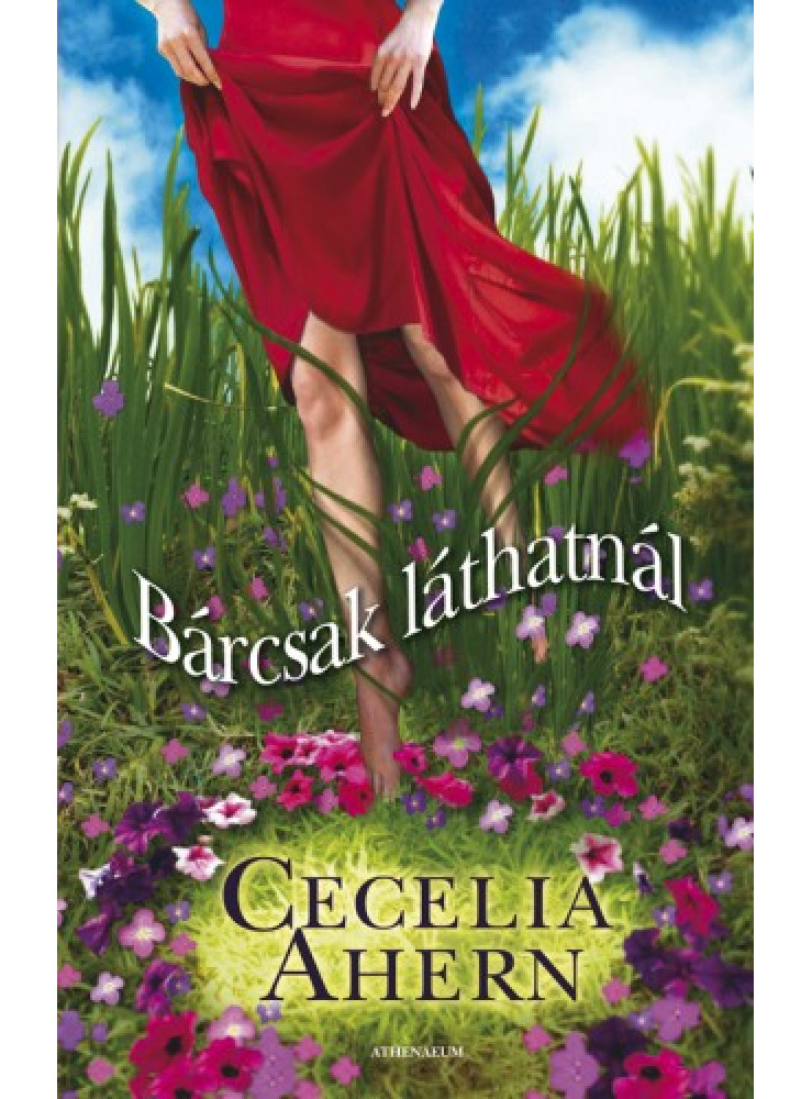 Bárcsak láthatnál (ekönyv)