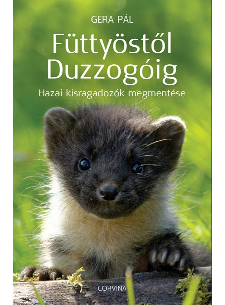 Füttyöstől Duzzogóig - Hazai kisragadozók megmentése (ekönyv) Füttyöstől Duzzogóig - Hazai kisragadozók megmentése (ekönyv)