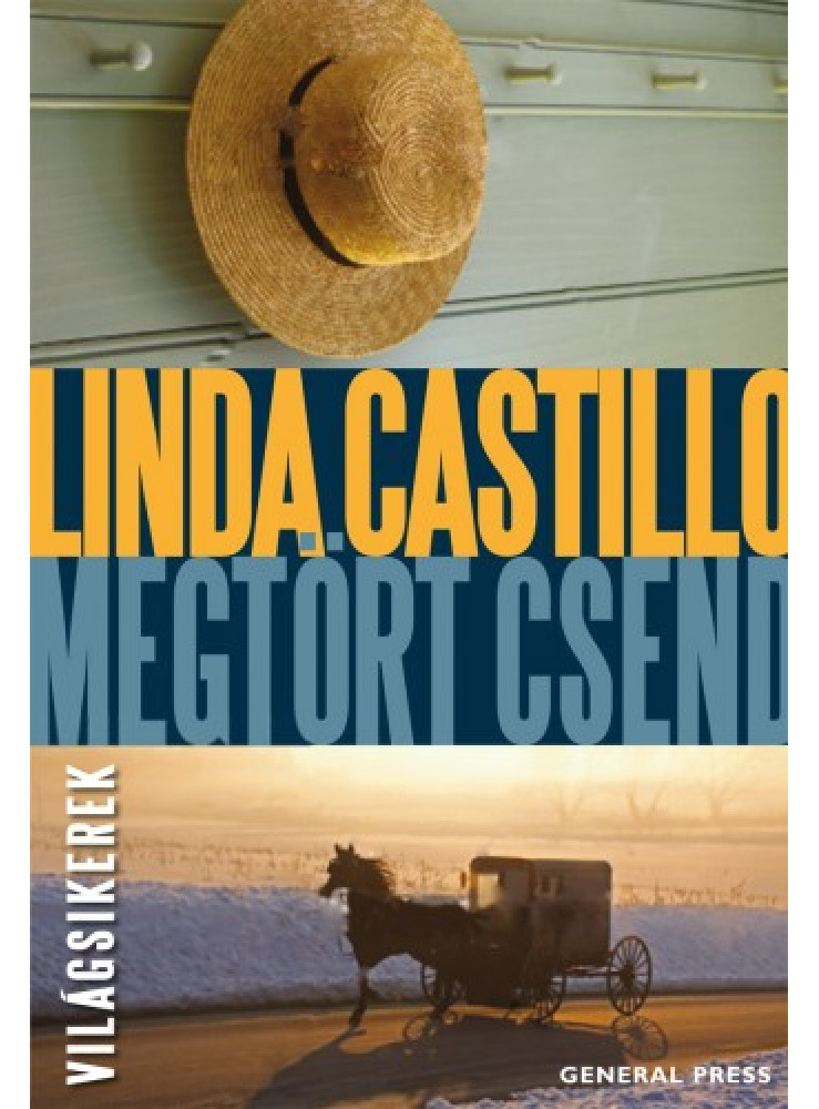 Megtört csend (ekönyv)