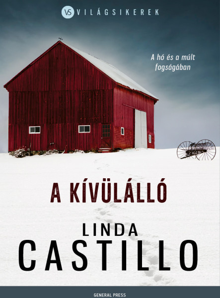 A kívülálló (ekönyv)