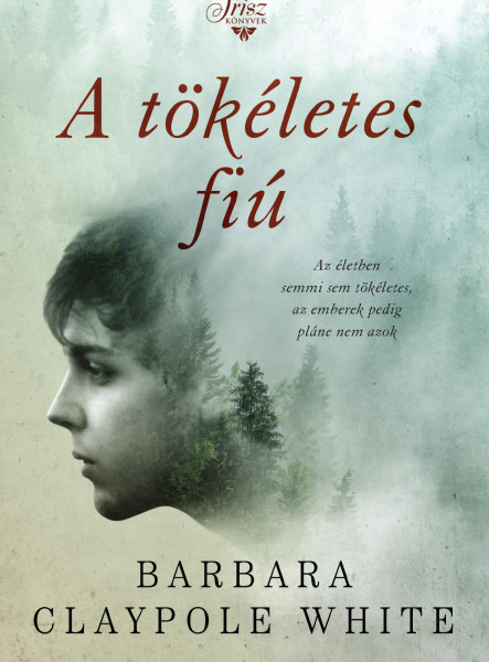 A tökéletes fiú (ekönyv)