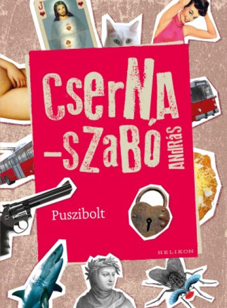 Puszibolt (ekönyv)
