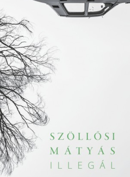 Illegál (ekönyv)