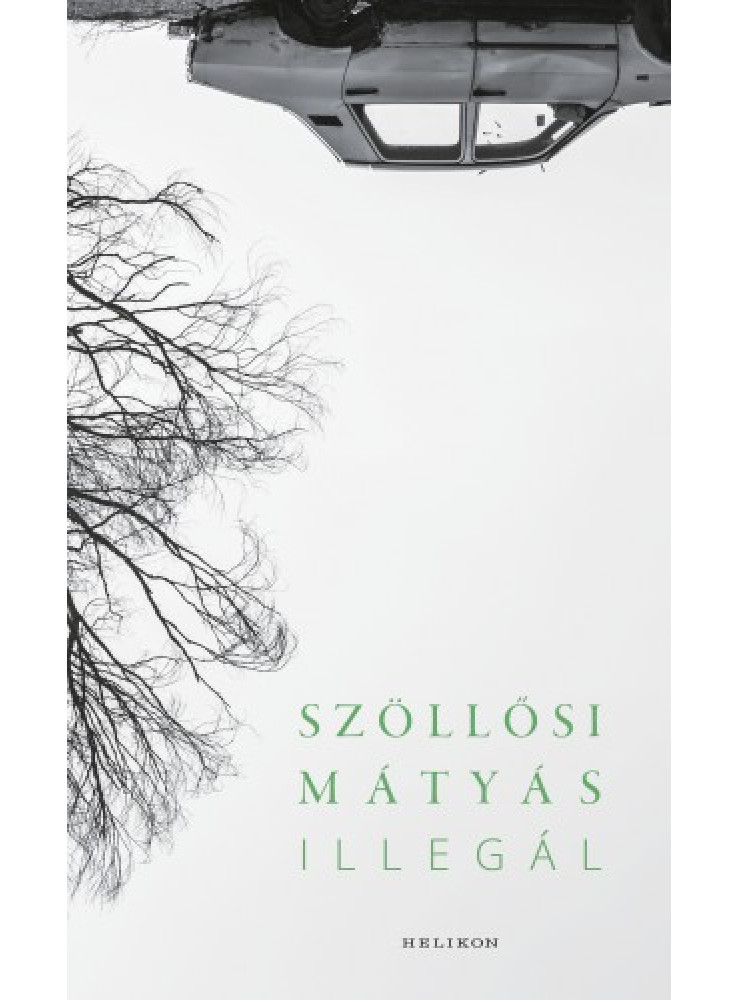 Illegál (ekönyv)