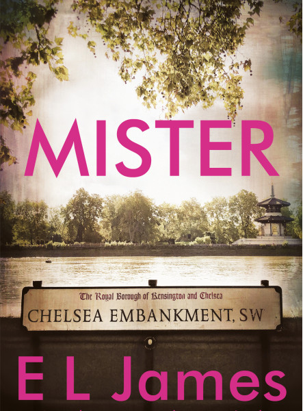 Mister (ekönyv)