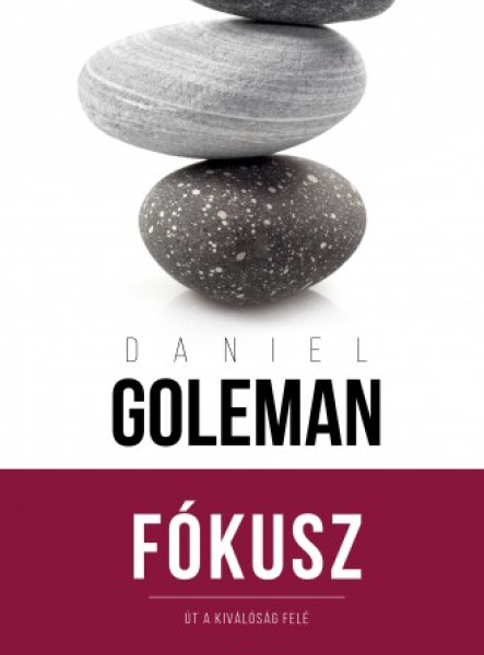 Fókusz (ekönyv)
