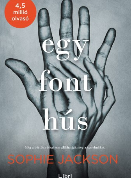Egy font hús (ekönyv)