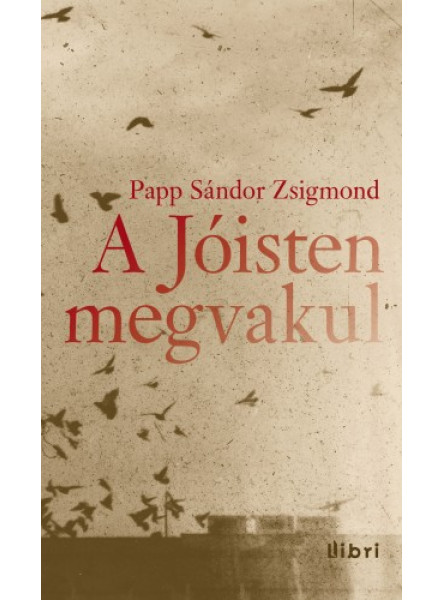 A Jóisten megvakul (ekönyv) A Jóisten megvakul (ekönyv)