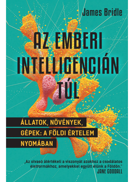 Az emberi intelligencián túl Az emberi intelligencián túl