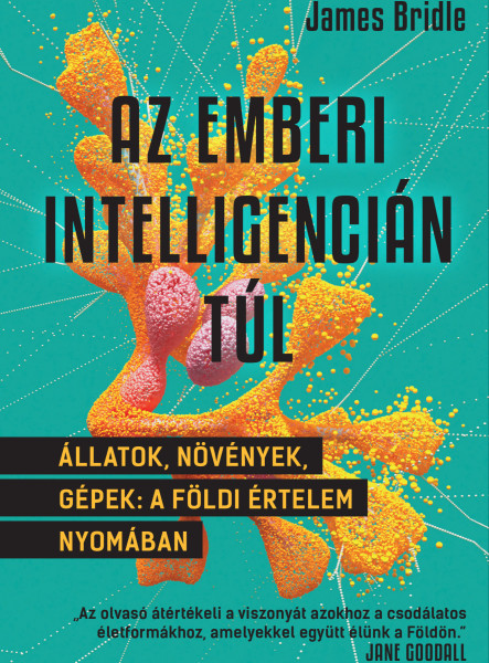 Az emberi intelligencián túl (ekönyv)