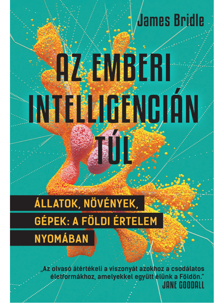 Az emberi intelligencián túl (ekönyv) Az emberi intelligencián túl (ekönyv)