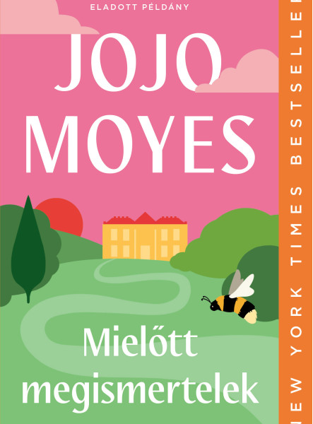 Mielőtt megismertelek (ekönyv)
