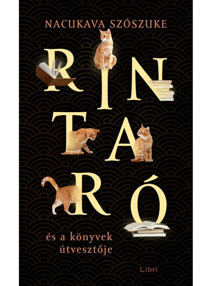 Rintaró és a könyvek útvesztője (ekönyv)