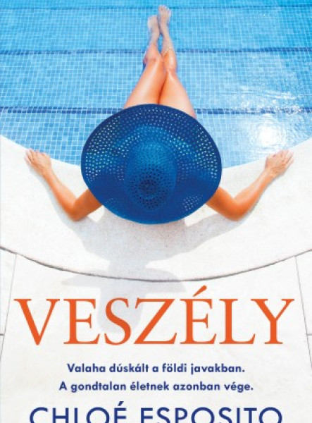 Veszély (ekönyv)