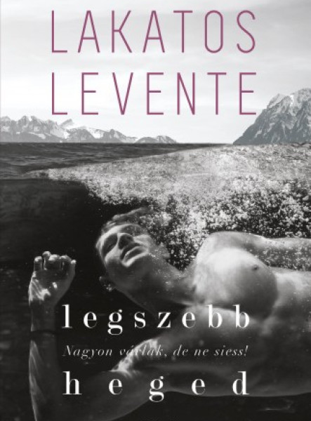 Legszebb heged (ekönyv)