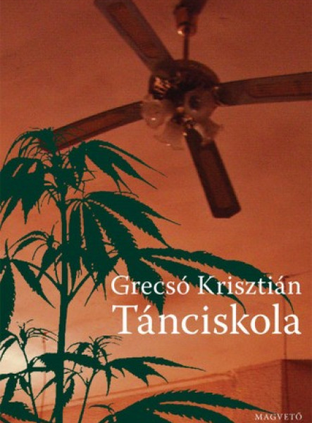 Tánciskola (ekönyv)