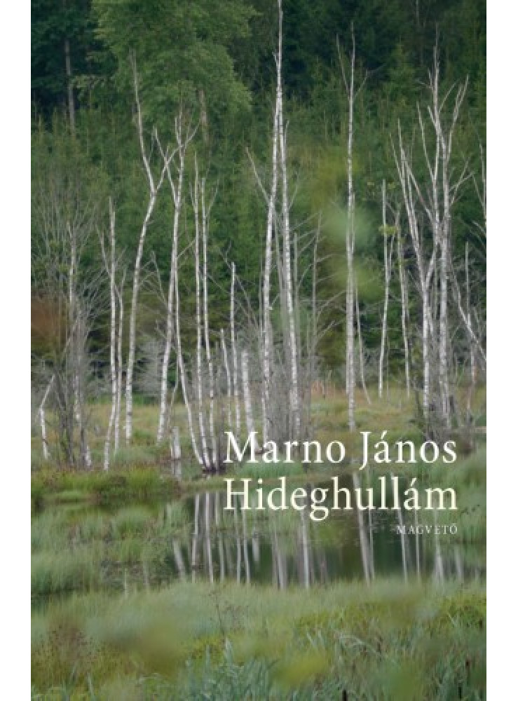 Hideghullám (ekönyv) Hideghullám (ekönyv)