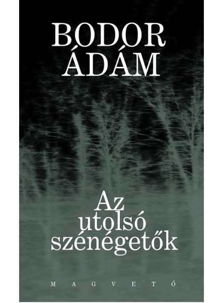 Az utolsó szénégetők (ekönyv)