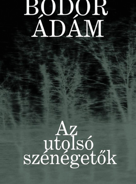 Az utolsó szénégetők (ekönyv)
