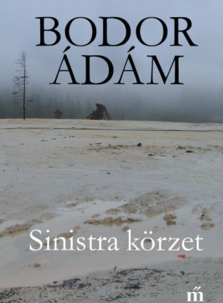 Sinistra körzet (ekönyv)