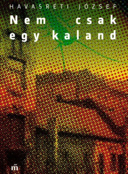 Nem csak egy kaland  (ekönyv)