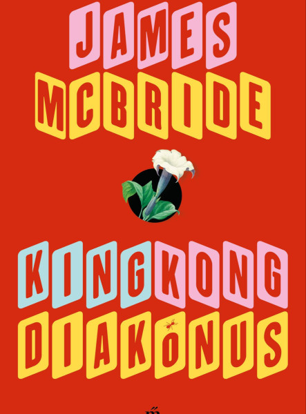 King Kong diakónus (ekönyv)
