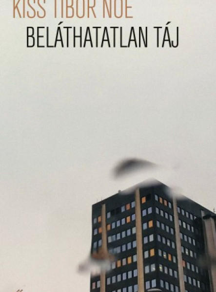 Beláthatatlan táj (ekönyv)