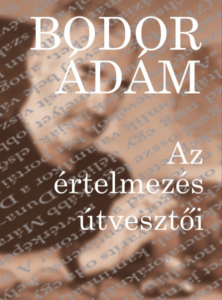 Az értelmezés útvesztői (ekönyv)