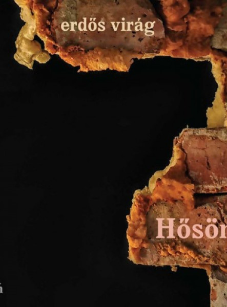 Hősöm (ekönyv)