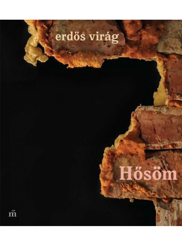Hősöm (ekönyv) Hősöm (ekönyv)