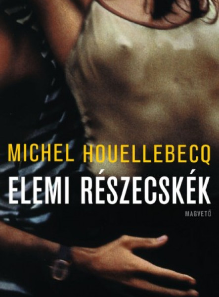 Elemi részecskék (ekönyv)