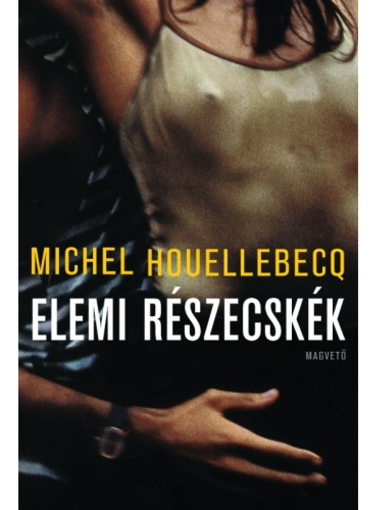 Elemi részecskék (ekönyv) Elemi részecskék (ekönyv)