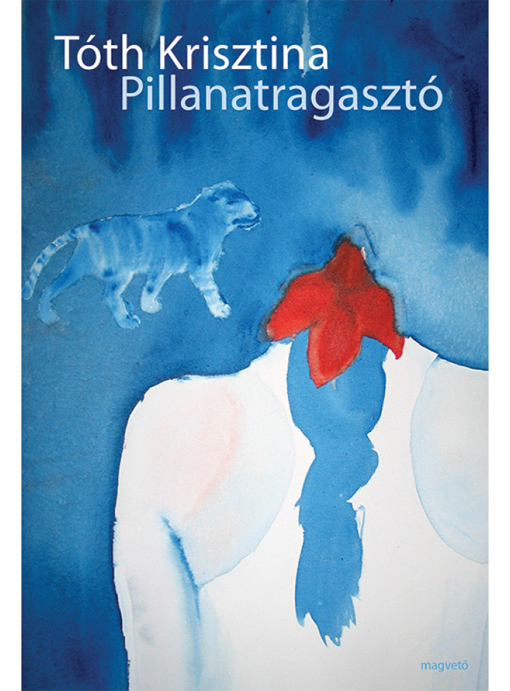 Pillanatragasztó (ekönyv)