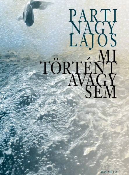 Mi történt avagy sem (ekönyv)