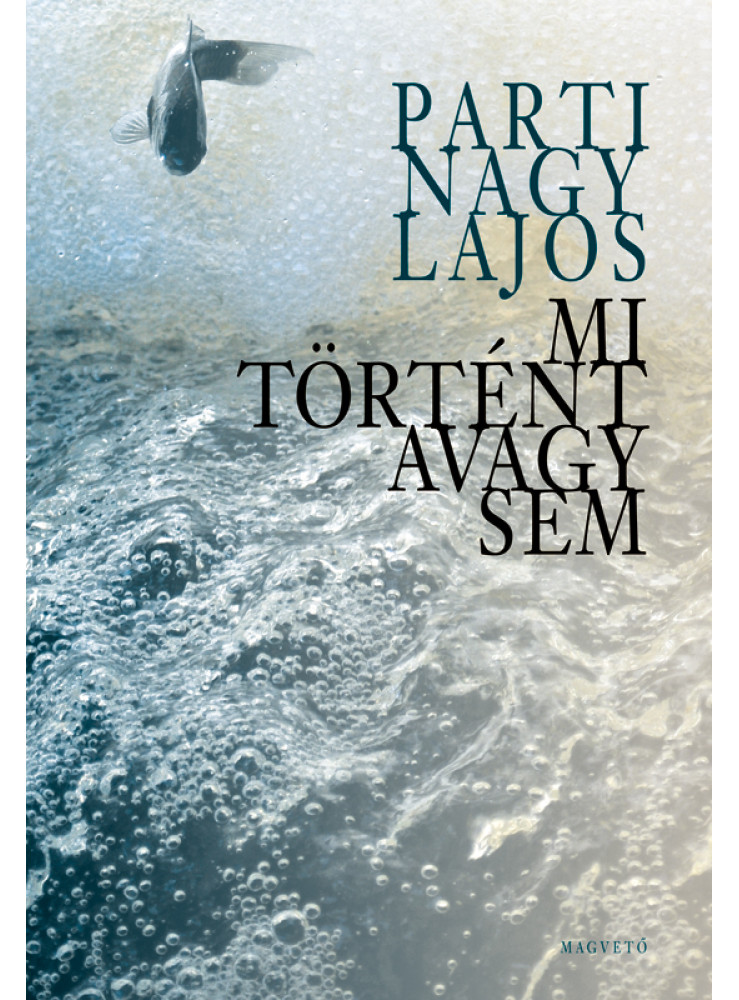 Mi történt avagy sem (ekönyv)