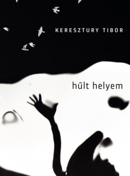 Hűlt helyem (ekönyv)