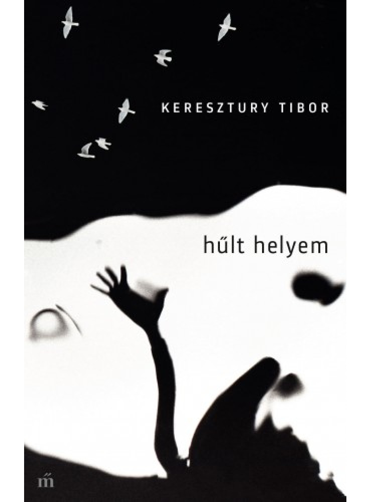 Hűlt helyem (ekönyv) Hűlt helyem (ekönyv)