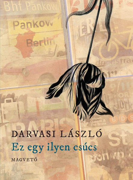 Ez egy ilyen csúcs (ekönyv)